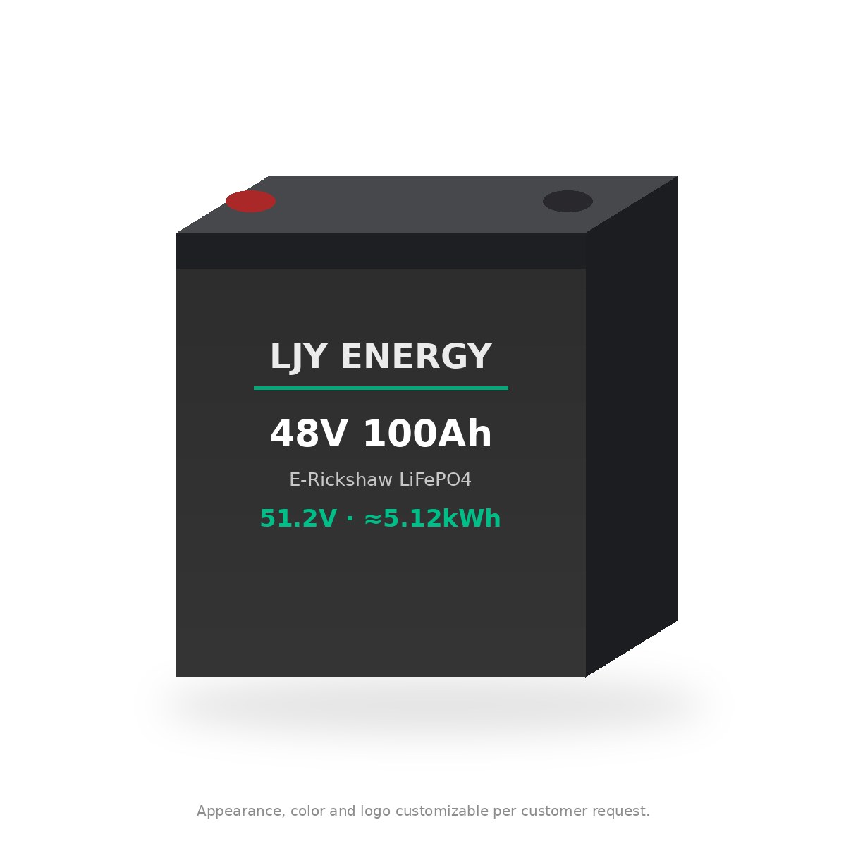 LJY-LFP-48V100 48V (51.2V) 100Ah LiFePO4 e-rickshaw battery, front view, white background